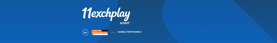 Affiliate Program Template Banner
