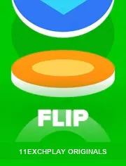 Flip