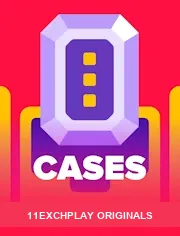 Cases